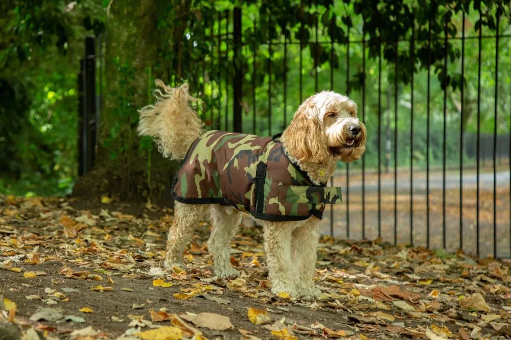 All Seasons Waterproof Dog Coat in Camouflage