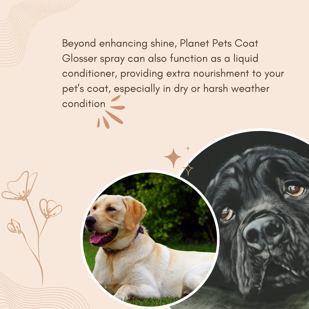 Planet Pets Coat Glosser